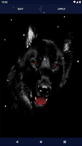 Black Live Wallpaper Dark Mode screenshot 6