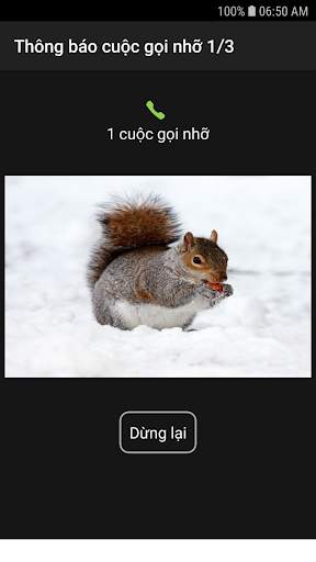 Thông báo cuộc gọi nhỡ screenshot 2