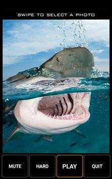 Hungry Shark Jigsaw Puzzle Game screenshot 6