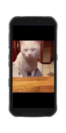 Funny Video Status For SnapChat screenshot 3