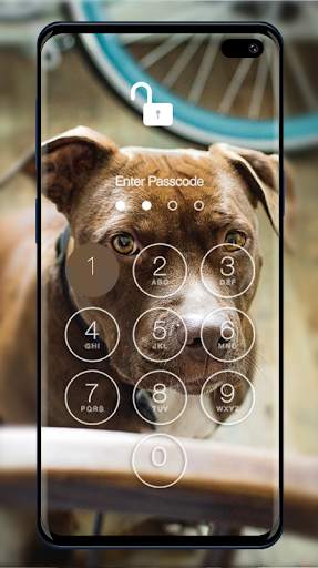 Pitbull Wallpapers & Lock Screen 2 تصوير الشاشة