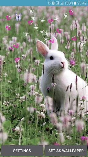 Rabbit Live Wallpaper screenshot 1