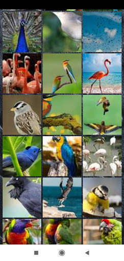 Bird Wallpaper Full HD screenshot 2