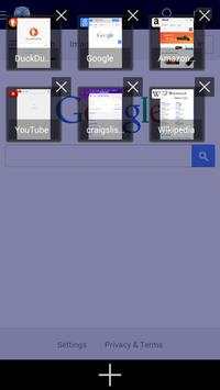 Protected Browser - Pin Locked screenshot 3