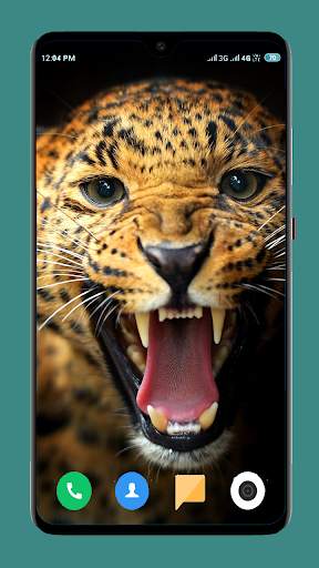 Wild Animal Wallpaper 4K 14 تصوير الشاشة