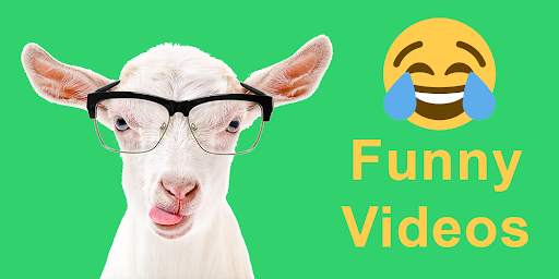 Funny Animal Videos screenshot 1
