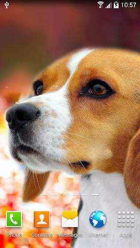 Dogs Wallpaper screenshot 7