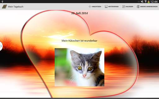 Mein Tagebuch screenshot 12