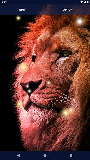 Brave Lion Live Wallpaper 5 تصوير الشاشة