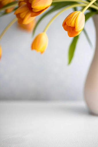 Tulips Wallpapers HD & 4k Backgrounds screenshot 2