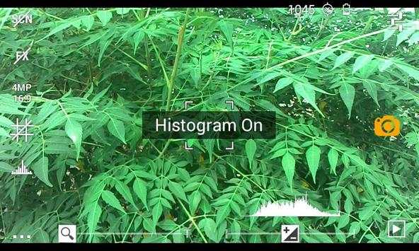 Camera DSLR pro screenshot 2