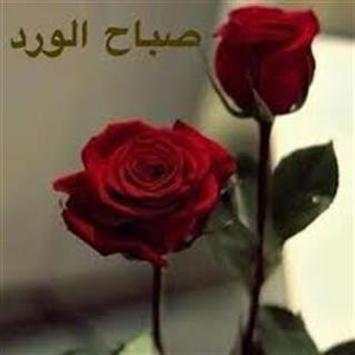 Photos Good morning screenshot 17