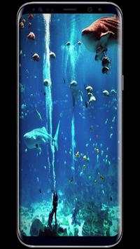 Shark Wallpaper Live screenshot 3