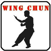 Wing Chun Training icon
