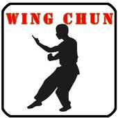 Wing Chun Training 2.36