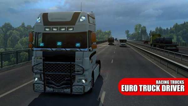 Truck Driving Simulator : Euro Truck screenshot 3