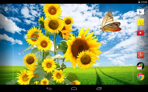 Tapiz Vivo girasol screenshot 5