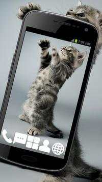 Cheery Kitty GO Launcher Theme screenshot 1