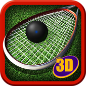 Squash 3D Sports Champ - Racket Ball Challenge icon