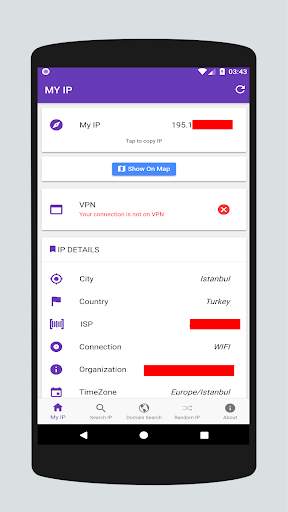 IP & Domain Info - VPN Check Tool screenshot 2