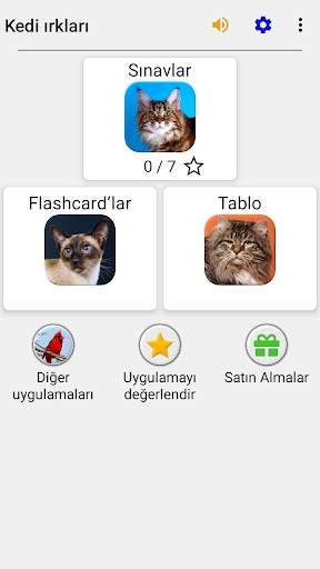 Kedi ırkları - Tüm popüler ırklar hakkında oyun screenshot 3