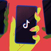TikTok Manual Guide For Begginers 1.0