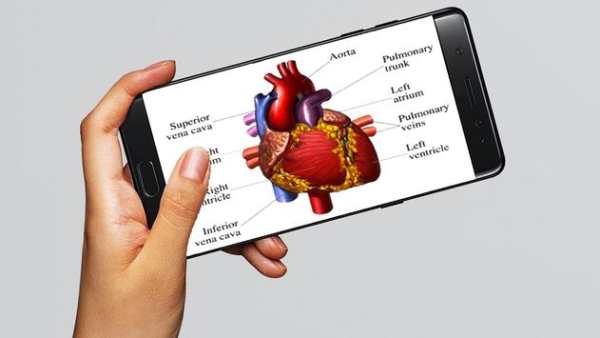 3D Human Anatomy - Human Organs, Bones & Skeleton скриншот 2