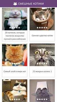 Funny Cats screenshot 1
