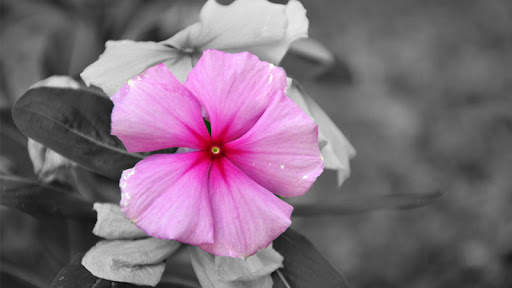PhotoX screenshot 18