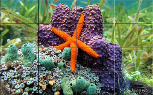 Sea world Puzzle screenshot 6