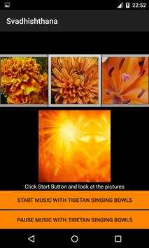 Chakras screenshot 7