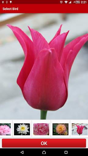 Flowers Live Wallpaper FREE screenshot 5