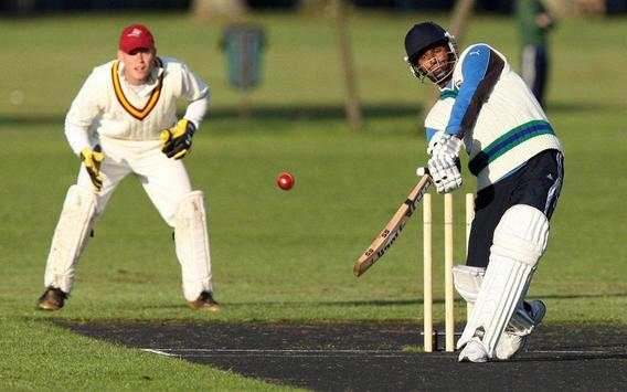 Superb Cricket Games screenshot 3