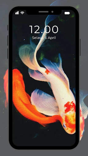 Wallpaper Ikan Koi Hidup screenshot 8