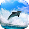 Dolphin Live Wallpaper icon
