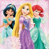 Disney Princess Puzzle icon