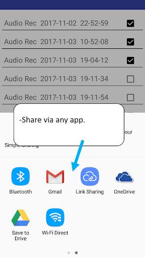 Flip N Record (Auto Start & Stop Audio Recorder) screenshot 7
