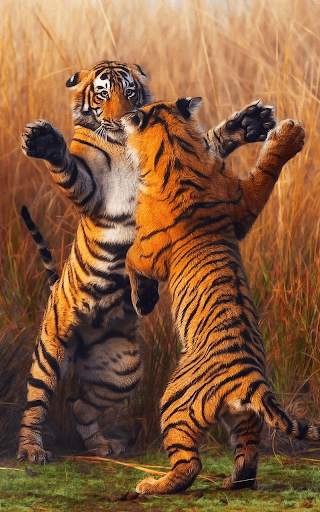 Tiger Live wallpaper screenshot 2