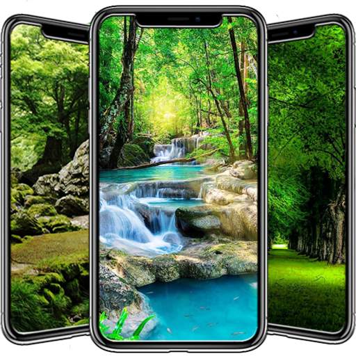 Nature Wallpaper 1.1