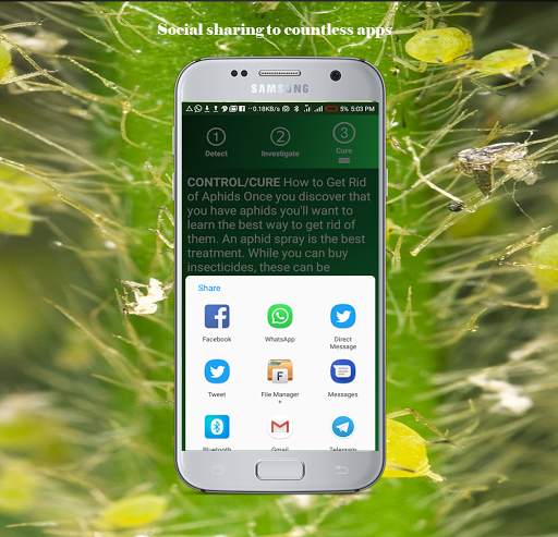 Pest Detector screenshot 5
