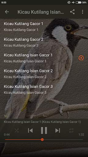 Suara Burung Kutilang Ribut screenshot 4