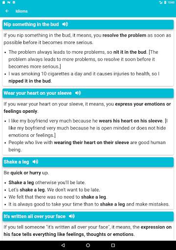English Grammar App screenshot 20
