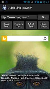 Quick Link Browser screenshot 4
