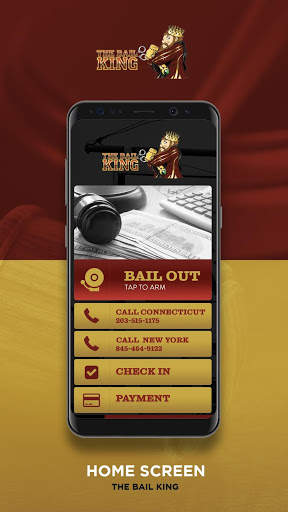 The Bail King screenshot 1