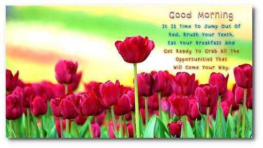 Good Morning Night flower wish screenshot 2