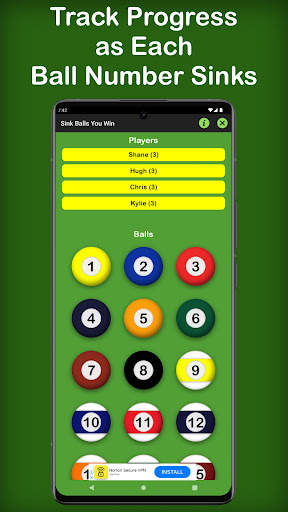 Kelly Pool screenshot 7