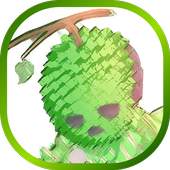 Appication Durian Mask 1.0