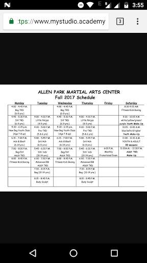 Allen Park Martial Arts screenshot 4
