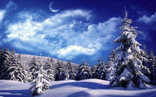 Winter Wallpaper screenshot 6