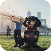 Big Camera HD icon